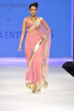 Model walks the ramp for Raksha Show at IIJW Day 4 on 22nd Aug 2012 (6).JPG